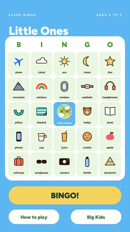Plane Bingo: real screen 2 from the PDF