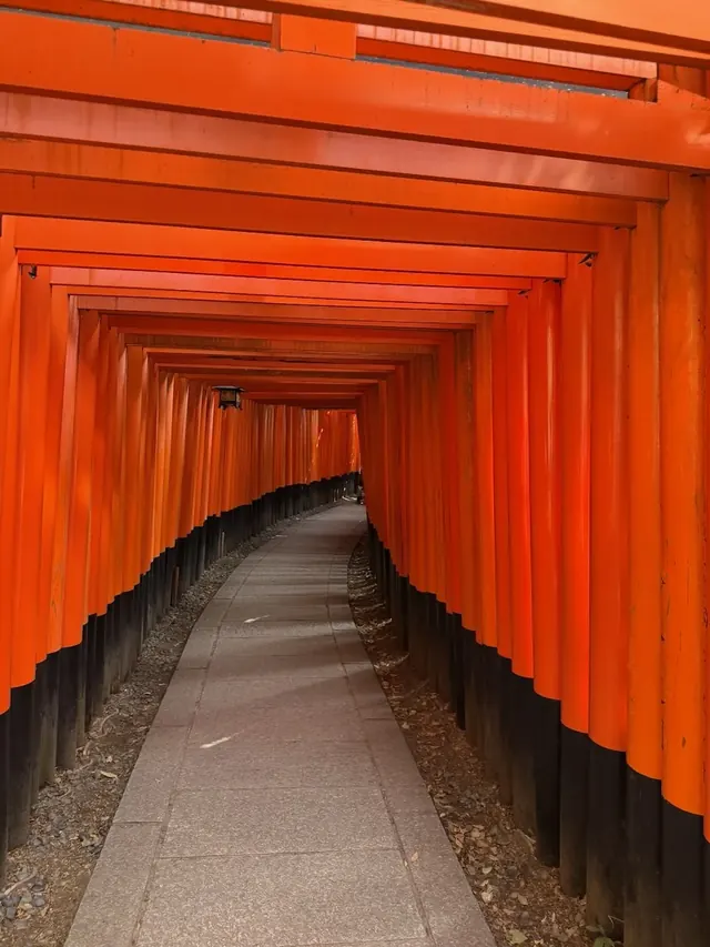 Senbon torii tunnel, Fushimi Inari Kyoto, our photo