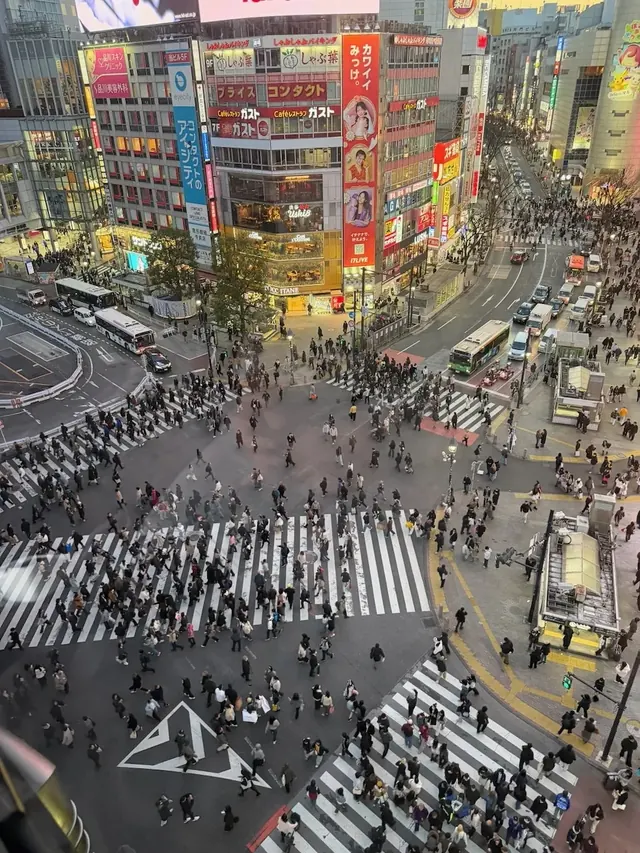 Shibuya Crossing from above, Tokyo, our photo