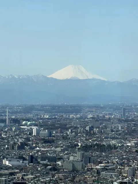 Mount Fuji beyond Tokyo skyline, Japan, our trip Feb and March 2026