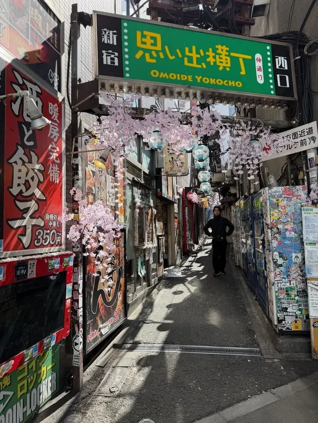 Omoide Yokocho alley, Shinjuku Tokyo, our photo