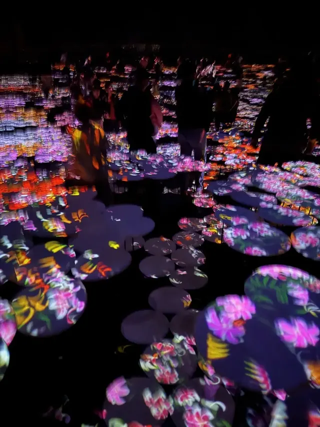 teamLab glowing flower artwork, Tokyo, our photo